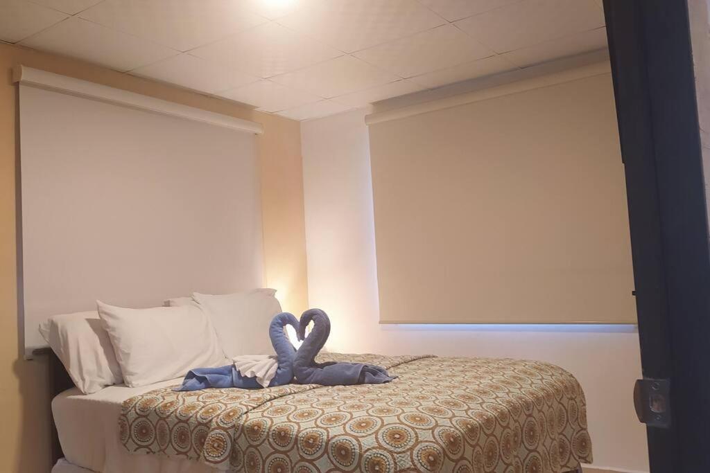 戴维Casita Independiente, Ubicada Atrás de Nuestra Casa的一间卧室配有一张带两个天鹅的床