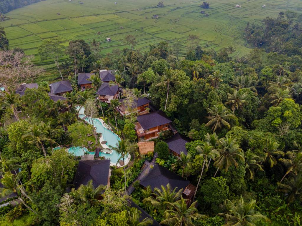 乌布Kappa Senses Ubud的丛林中度假村的空中景观