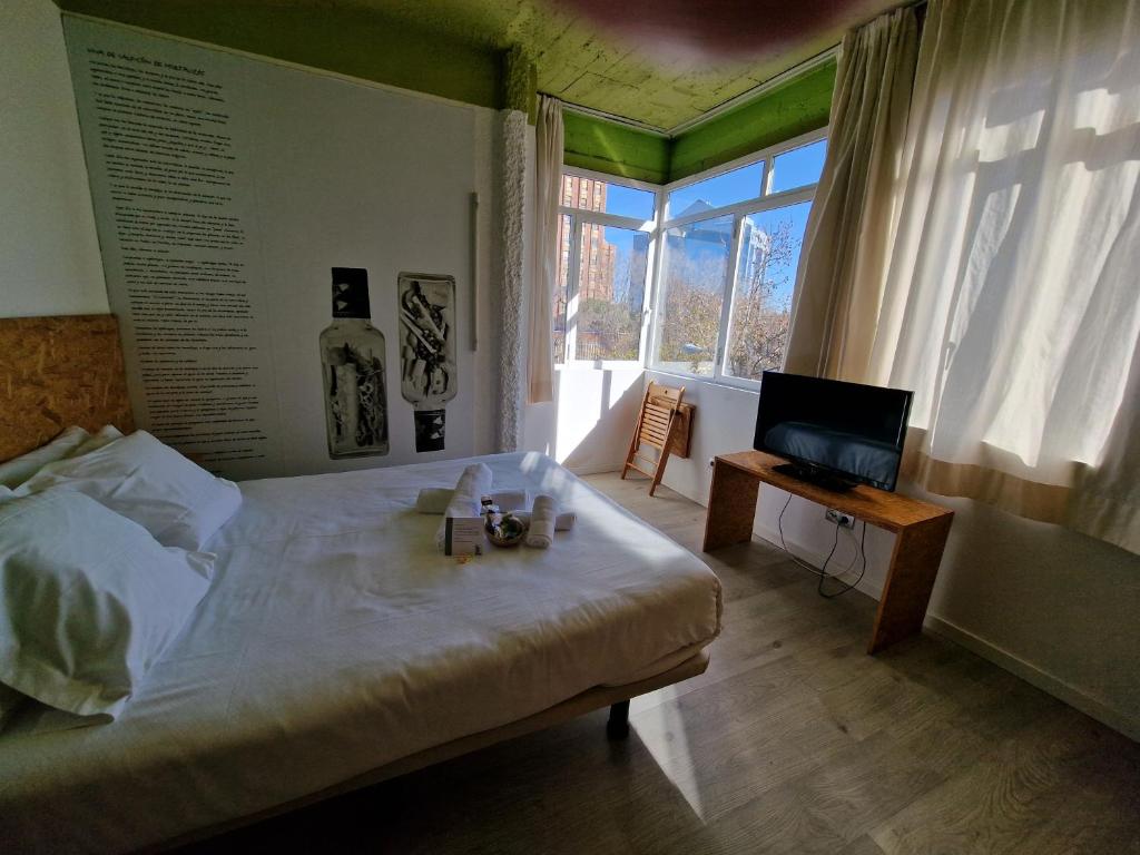 马德里波萨达德艾尔夏弗兰旅馆的一间卧室配有一张床、一台电视和一个窗口