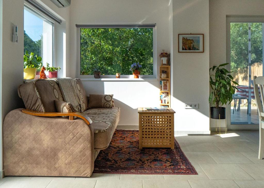 MakkoshotykaBirslak的带沙发和窗户的客厅