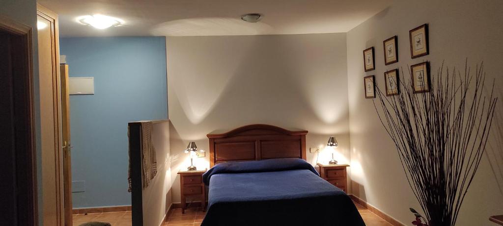 桑托托梅德尔普埃尔托Apartamentos Turísticos La Casa de Dafne的一间卧室配有一张带蓝色毯子的床