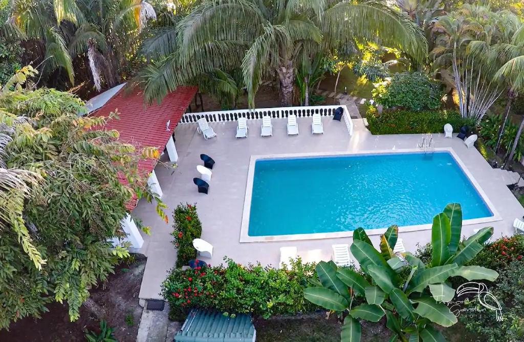 雅科Tropical Garden Hotel的享有带椅子和树木的游泳池的顶部景致