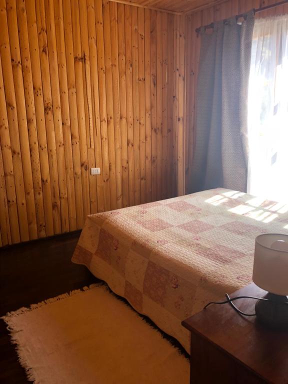 塔尔卡Cabaña El Sol Pehuenche Cordillera Talca SanClemente的一间卧室设有一张床和一个窗口