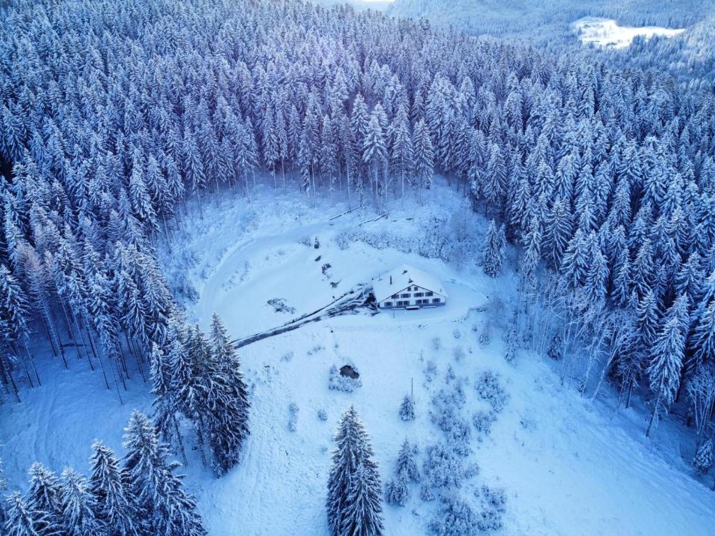 克松吕-隆日梅La Ferme des 3 lacs的雪覆盖森林中小屋的空中景观