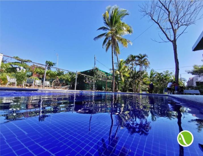 San LuisArgueta Hotel的一座种有棕榈树和蓝色的游泳池
