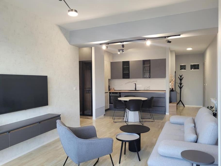 斯科普里BS Apartment的带沙发和椅子的客厅以及厨房。
