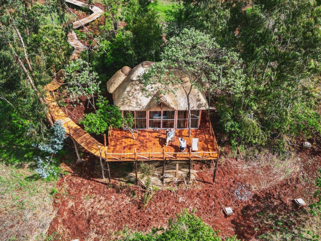 卡拉图Foresight Eco Lodge & Safari的茅草屋顶房屋的顶部景色