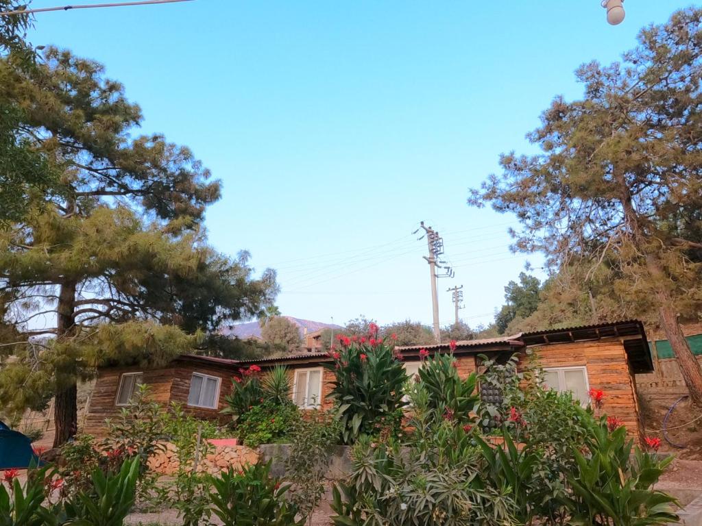 费特希耶Bahçeli büyük köy evi的前面有树木和植物的房子
