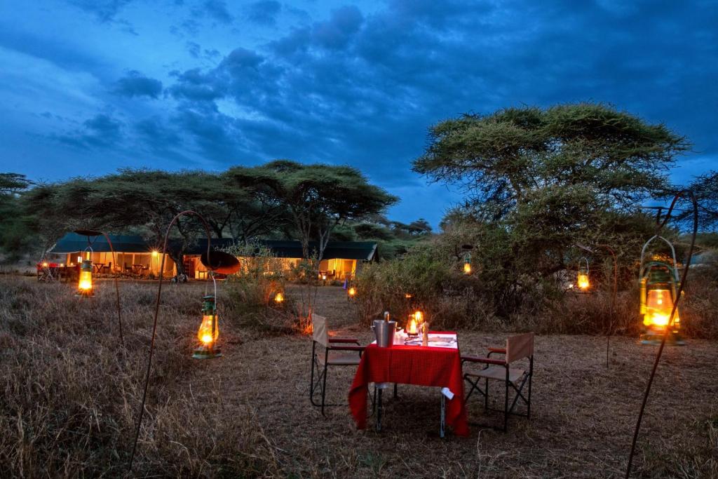 塞伦盖蒂Serengeti Woodlands Camp的夜晚在田野里带灯的餐桌