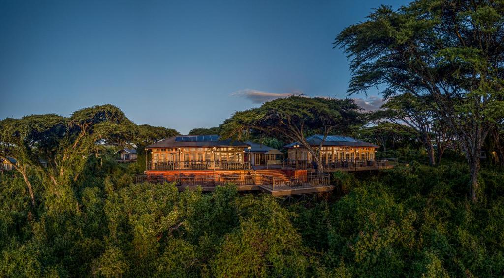 恩戈罗恩戈罗Lions Paw Ngorongoro的树上小山顶上的房子