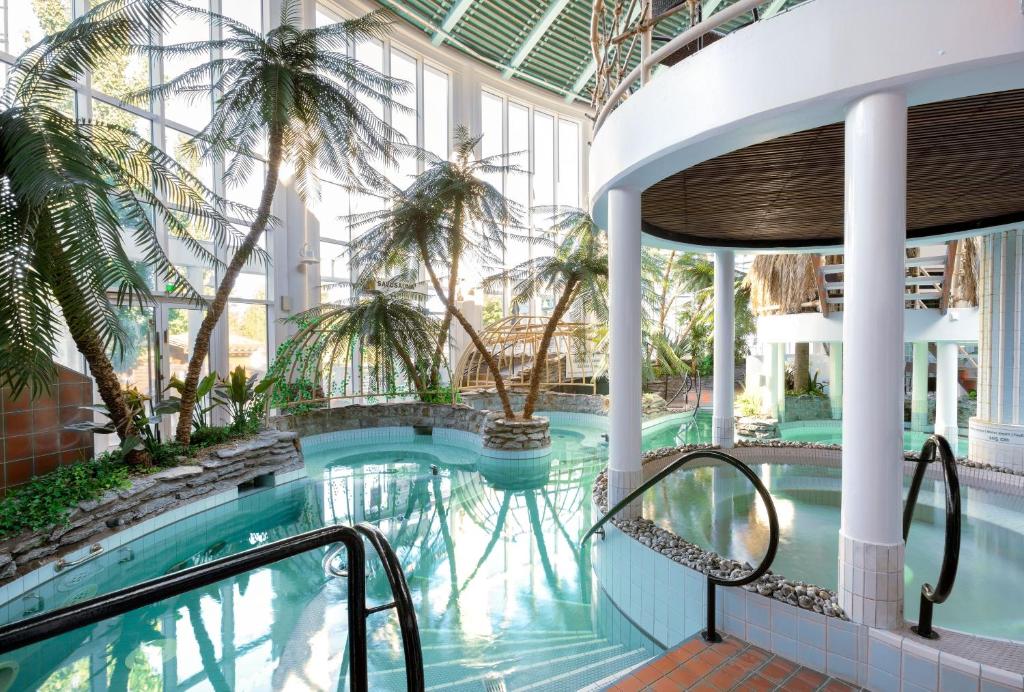 沃卡蒂卡汀库塔高级公寓假日俱乐部的一座棕榈树游泳池