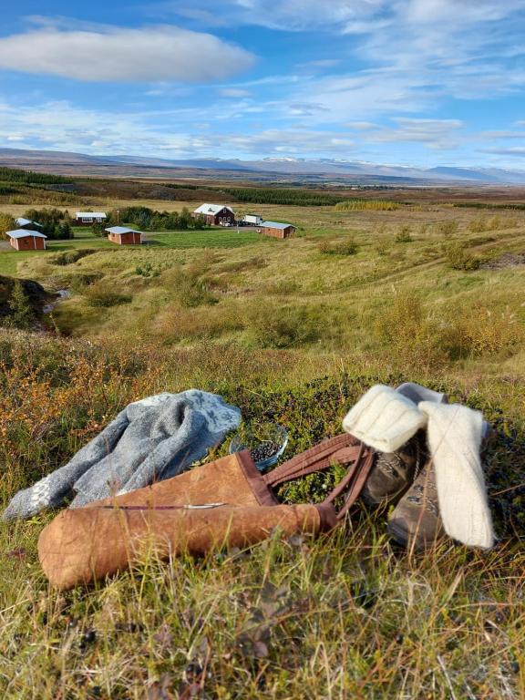 Ásgeirsstaðir埃斯伊尔斯塔济度假屋的草原上带袋子的田野