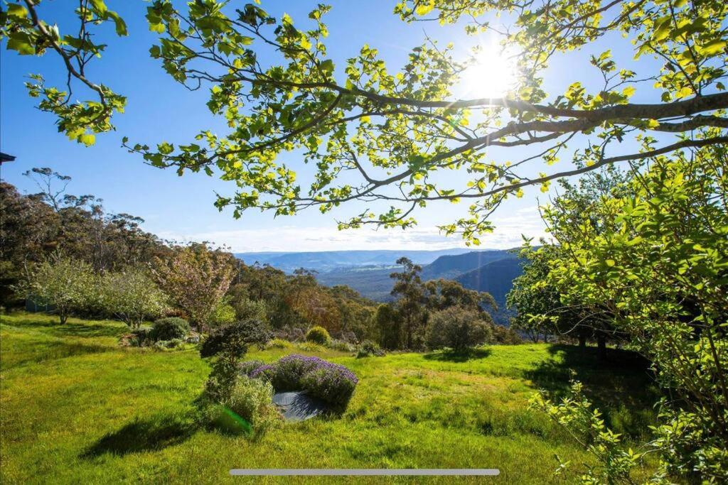 美德罗巴斯Panoramic Mountain view house on 7ha of lands的一片有太阳背景的草场