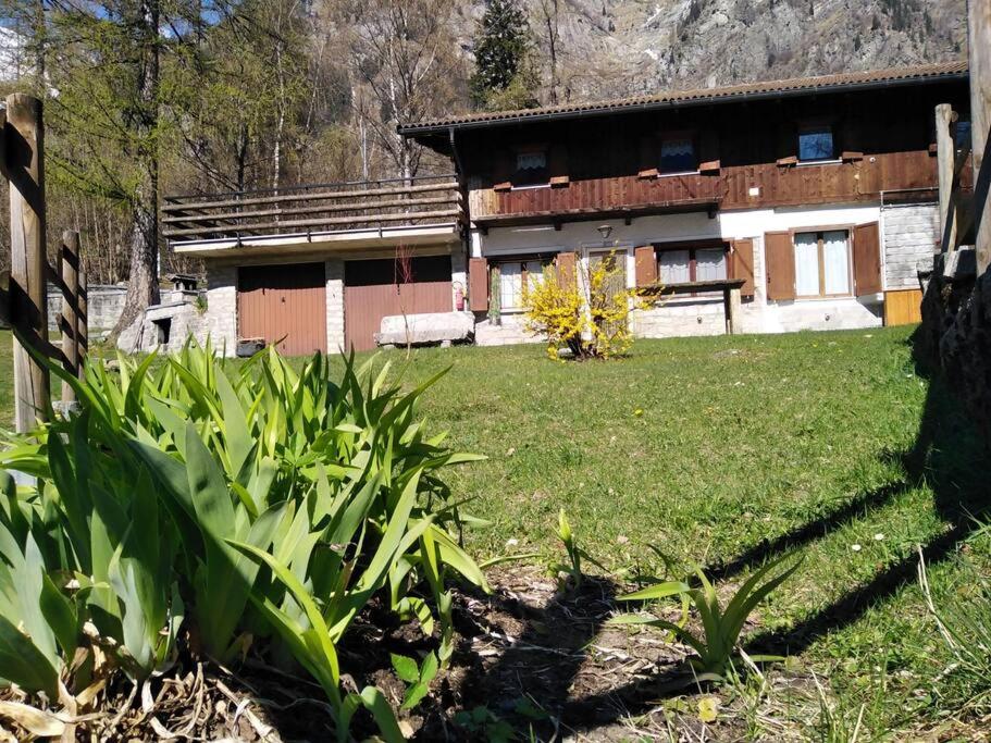AntronapianaCasa vacanza Miralago的前面有一座绿色庭院的房子