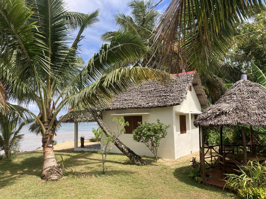 MangalimasoMaison bord de mer的棕榈树海滩上的房子