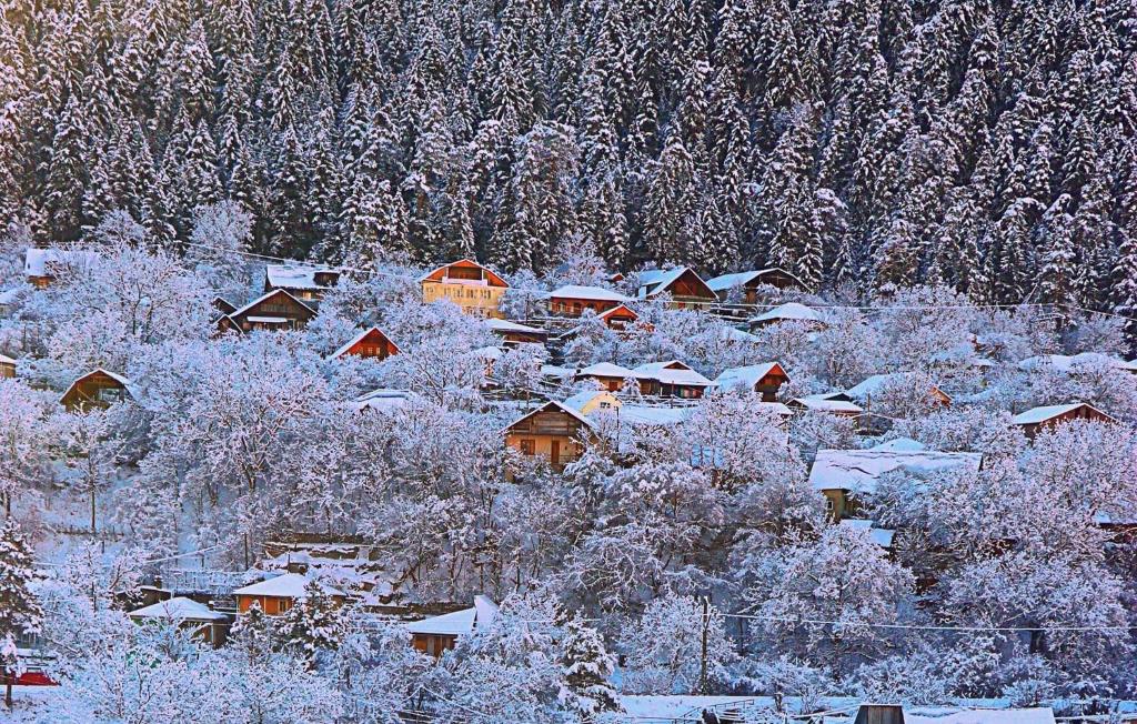 博尔若米Friendly House的山上积雪覆盖的一群房子
