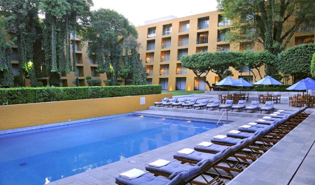 墨西哥城卡米奥真实酒店的一个带躺椅的游泳池和一间酒店