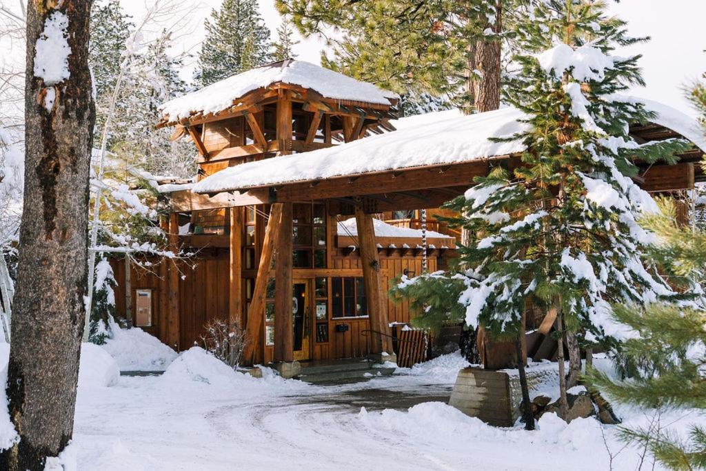 特拉基Gravity Haus Truckee-Tahoe的树林里的小屋,上面有雪