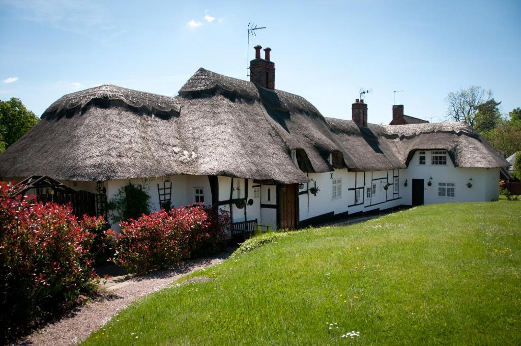 凯尼尔沃思Castle Hill Cottage on a Scheduled Monument的一排茅草屋顶和鲜花的房子