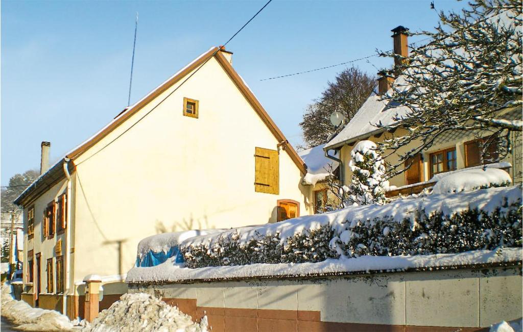 NatzwillerPet Friendly Home In Natzwiller With Kitchen的屋顶上积雪的房子