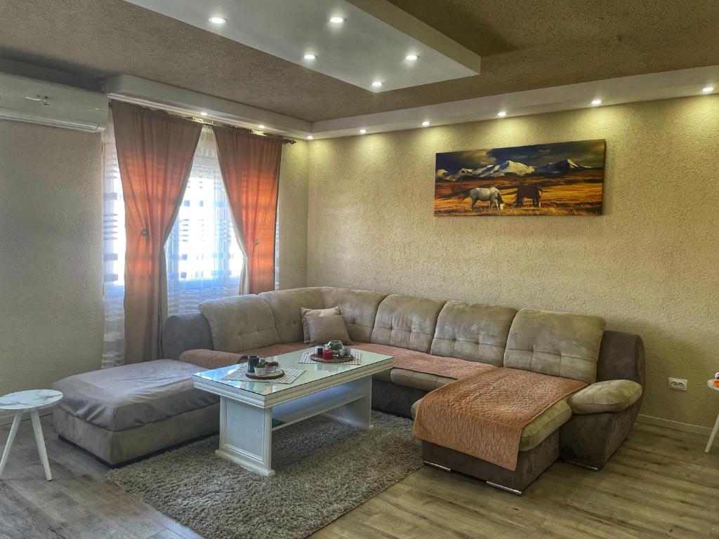 波德戈里察Apartment Alexandar的客厅配有沙发和桌子