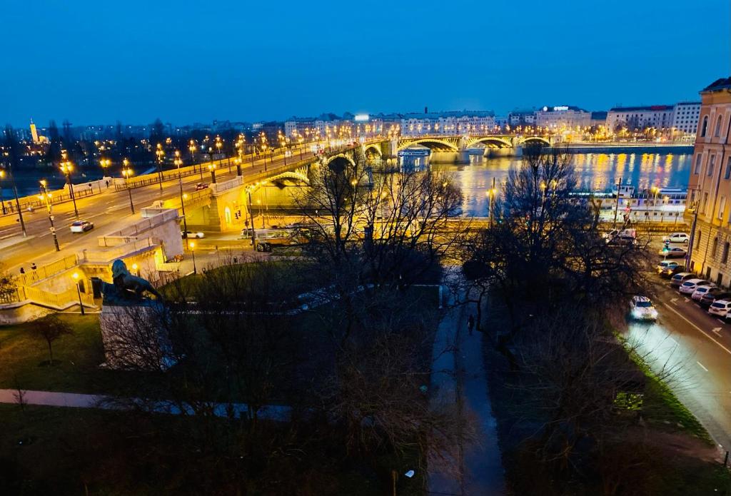 布达佩斯Danube Panorama apartments的享有城市的夜间美景,设有一座桥