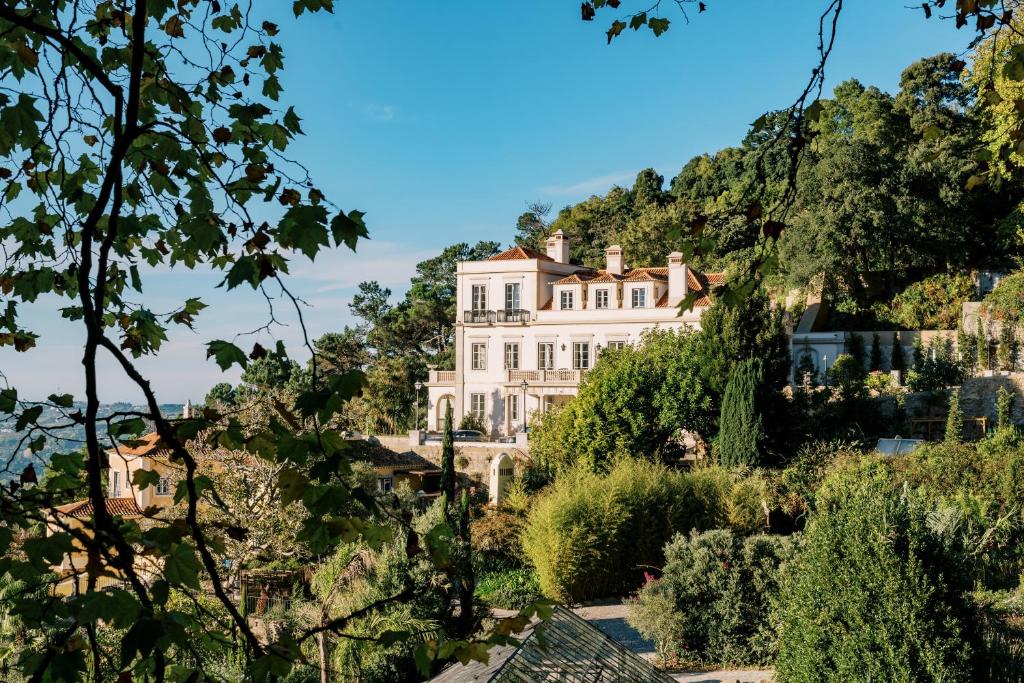 辛特拉Quinta da Bella Vista - Historic Home and Farm的一座树木茂密的山丘上的白色大房子