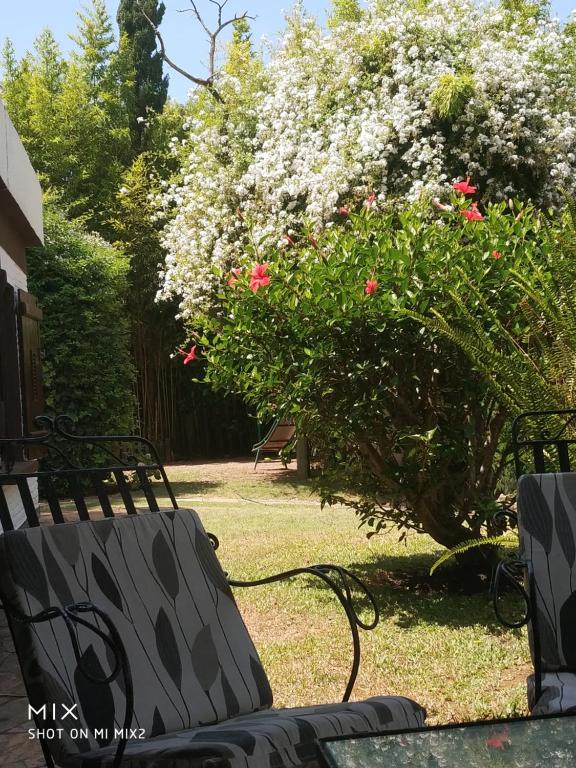 埃斯特角城Verano的两长椅,在院子里,有一片布满粉红色花的灌木丛