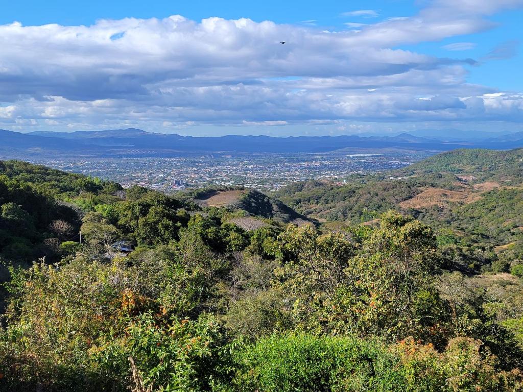 埃斯特利Lantana的从树木茂密的山丘上欣赏到城市美景