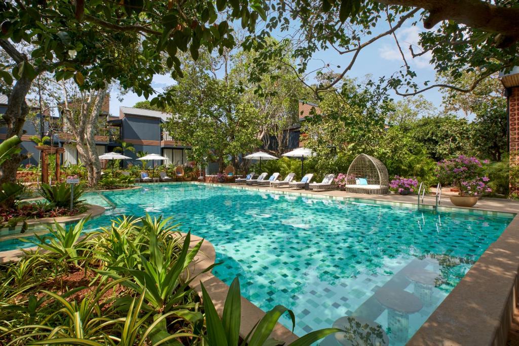 安君纳Avataara Resort & Spa的度假村的游泳池,带椅子和树木