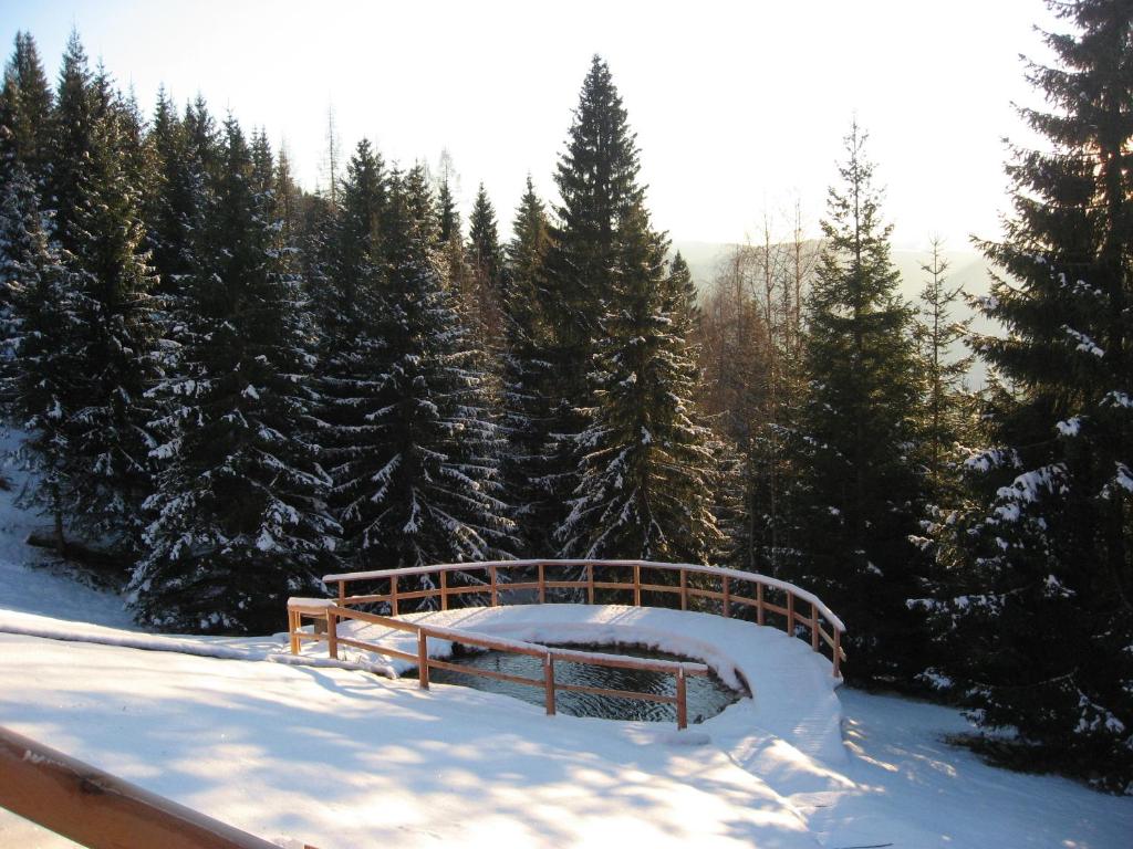 圣博沃内尔多奇谢尔木屋酒店的树旁的雪中木桥