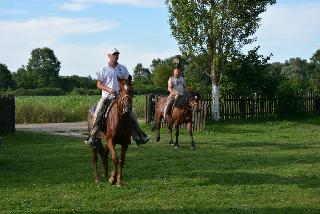 Mužilovčica拉夫里克乡村旅游家庭旅馆的两个骑马的人在草地上骑着