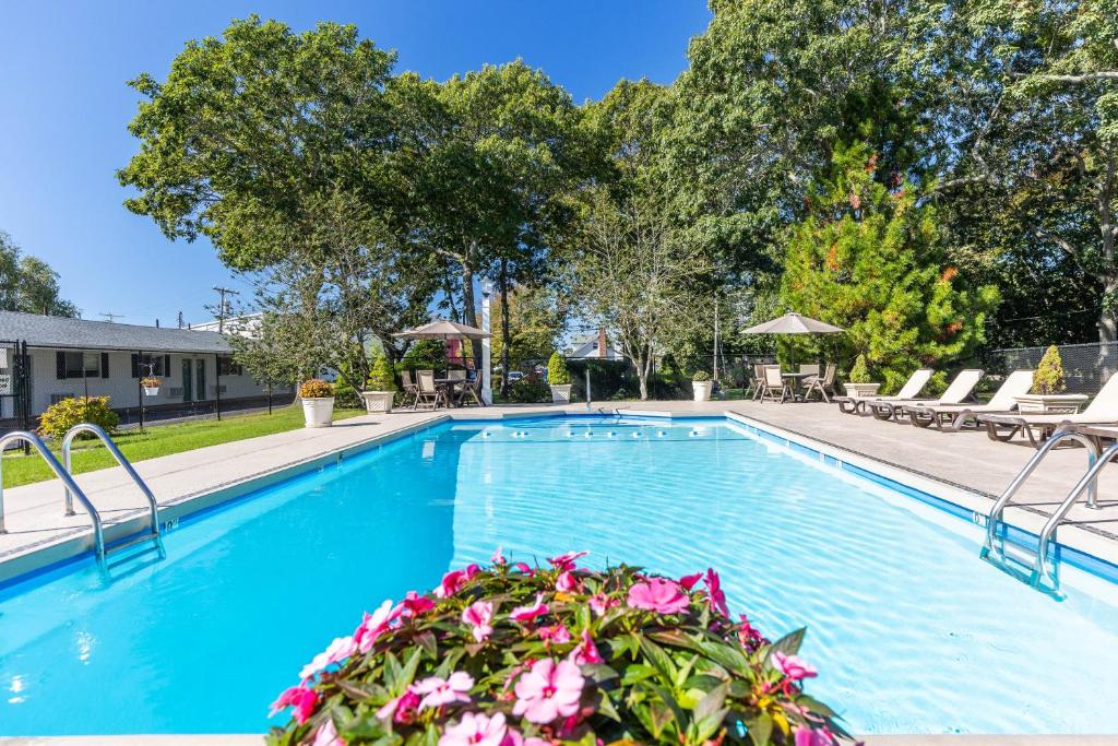 法尔茅斯法尔茅斯高地汽车旅馆的庭院内一个带椅子和鲜花的游泳池