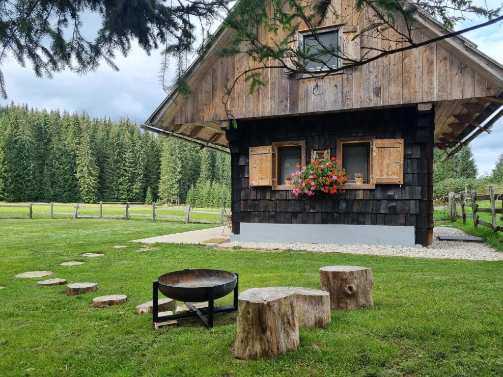 GoreljekZalin planinski raj的草木上的谷仓