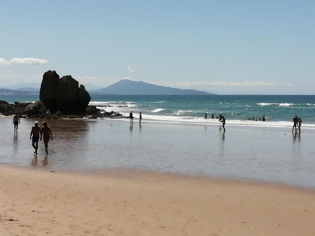 盖塔里studio guéthary - 100 m plages et centre a pieds的一群人在海滩上散步