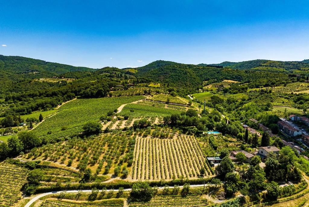 基安蒂格雷夫Podere Campriano Winery的享有葡萄园的空中景色,以山脉为背景