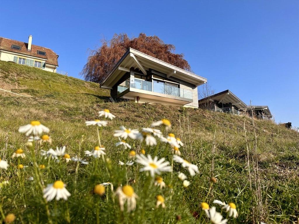 Marin格拉尔多住宿加早餐旅馆的一座花朵满山的房屋