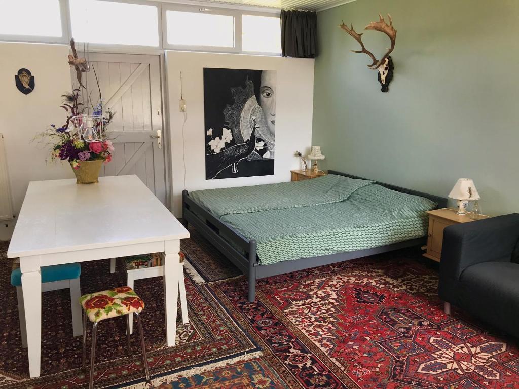 芬莱De Vlies的一间卧室配有一张床、一张桌子和一张沙发