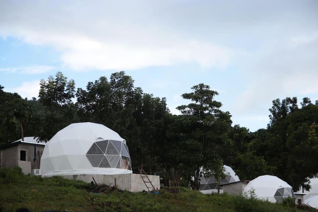 LuboTranquil Retreat Dome Glamping with Hotspring Dipping pool - Breathtaking View的一群树丛上的圆顶