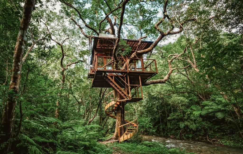 名户Treeful Treehouse Sustainable Resort的森林中间的树屋