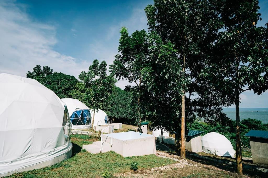 LuboFamily Fun Dome Glamping with Hotspring Pool (6 pax)的树旁草丛中的一组帐篷