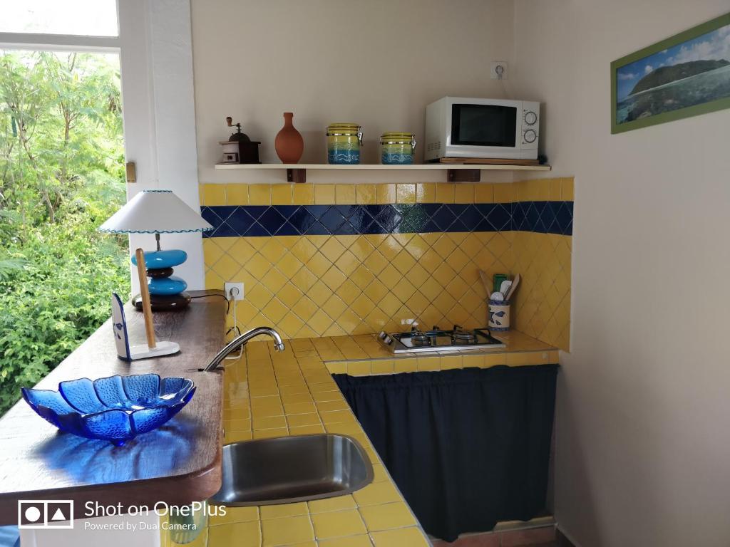 圣安尼Cocooning sur mer Bungalow的厨房配有水槽和微波炉