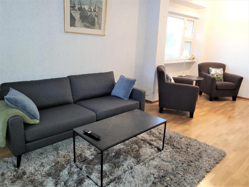 NärpiöBest possible location, 1 bedroom apartment的带沙发和咖啡桌的客厅