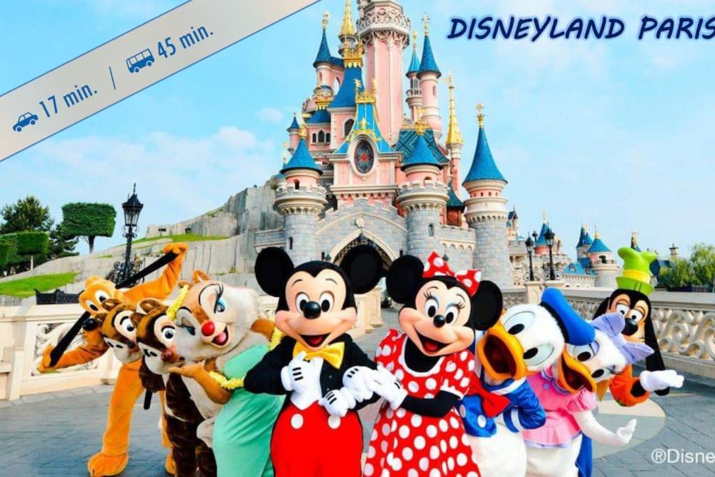 本嘉德Pause entre deux Meaux ► Proche Disneyland Paris ► WiFi ► Netflix ► 24/24h的一群在迪斯尼城堡前的马里奥和米基人