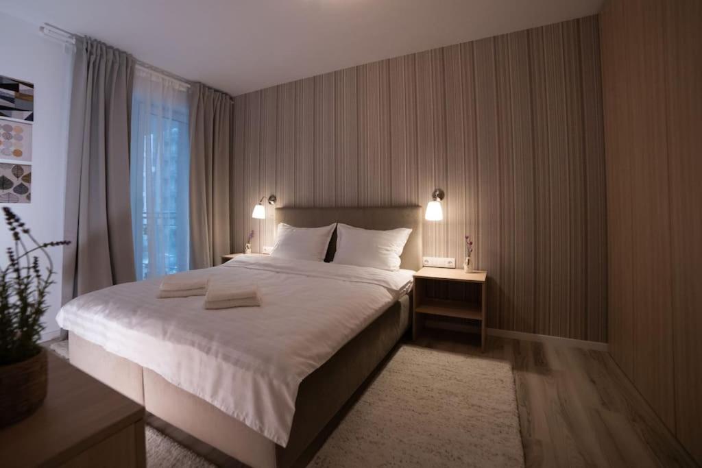 蒂米什瓦拉Carpe Diem Travel的一间卧室设有一张大床和一个窗户。