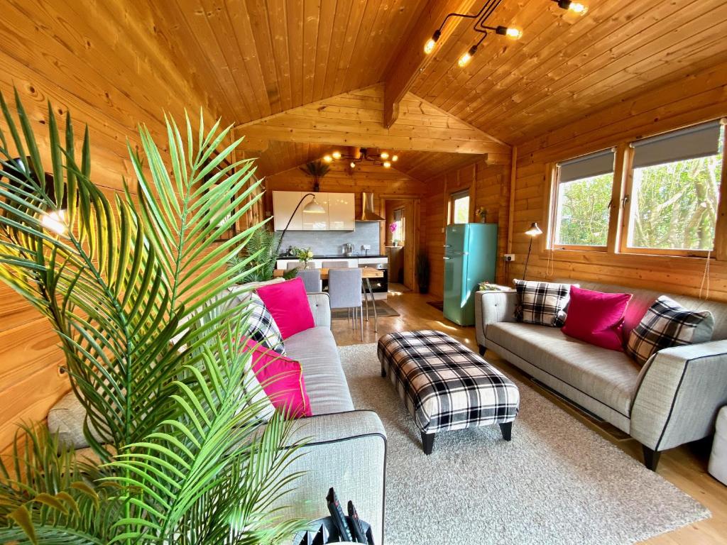 普里茅斯Yealm Cabin Self Catering Log Cabin in Devon with Hot Tub的带沙发的客厅和小屋内的厨房