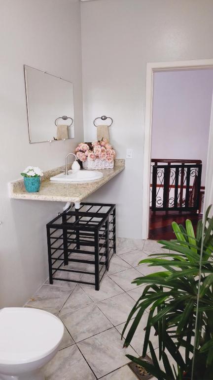 乌巴图巴Tartaruga Marinha Guest House的浴室设有水槽和植物台面