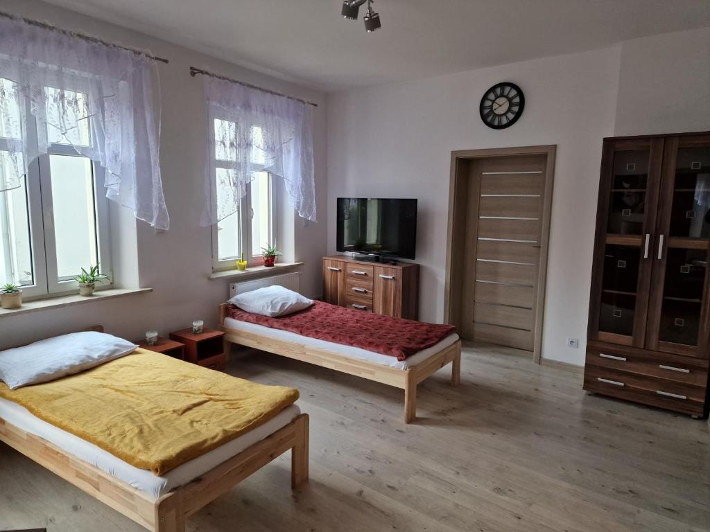莱希纳Noclegi Leśna的一间卧室设有两张床、一台电视和窗户。