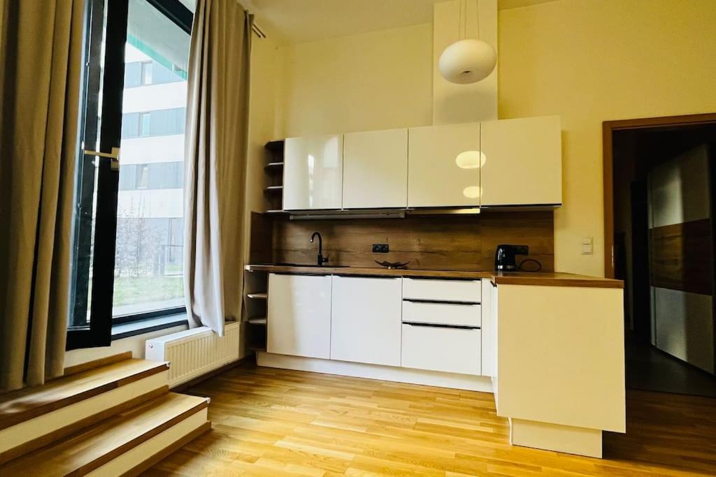 布拉格Apartment Holesovice, garden, garage的一间厨房,配有白色的橱柜和大窗户