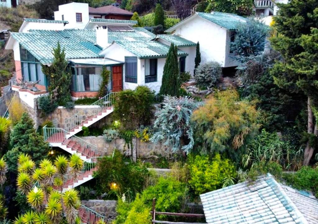 拉巴斯Apartamento de lujo con jardines paisajísticos的树上山顶的房子
